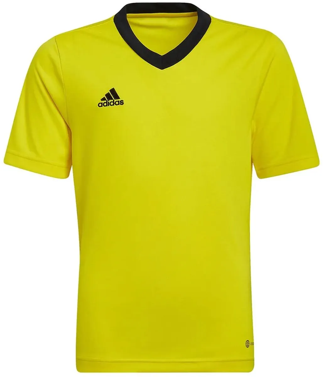 Adidas Entrada 22 T-shirt