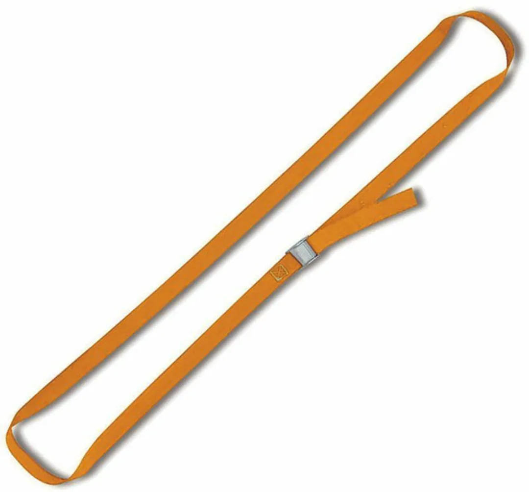 Beta Robur Transportband 8188F/3