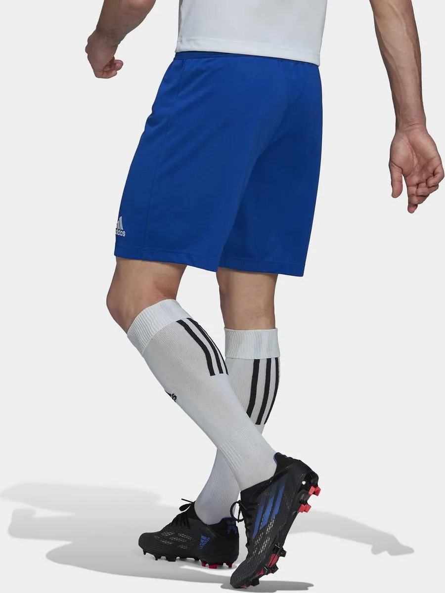adidas Entrada 22 Short Heren - Royal - 2XL
