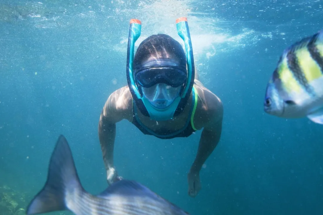 Bestway Flowtech Full Face Snorkelmasker - Blauw