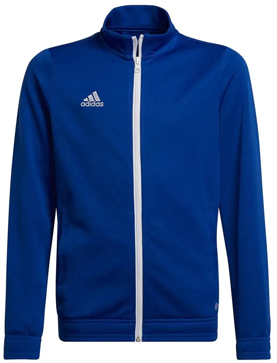 Adidas Entrada 22 Trainingsjack Junior 152