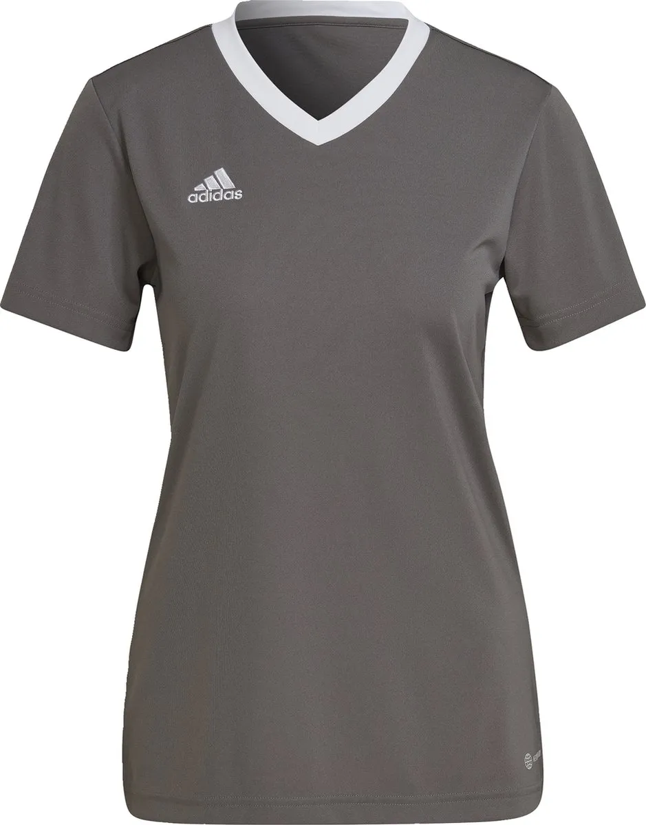 adidas Performance Entrada 22 Voetbalshirt M - Grijs