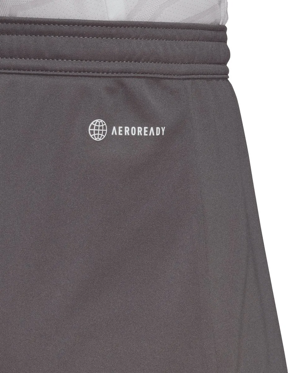 Adidas Entrada 22 Short Heren XXL - Grijs/Wit