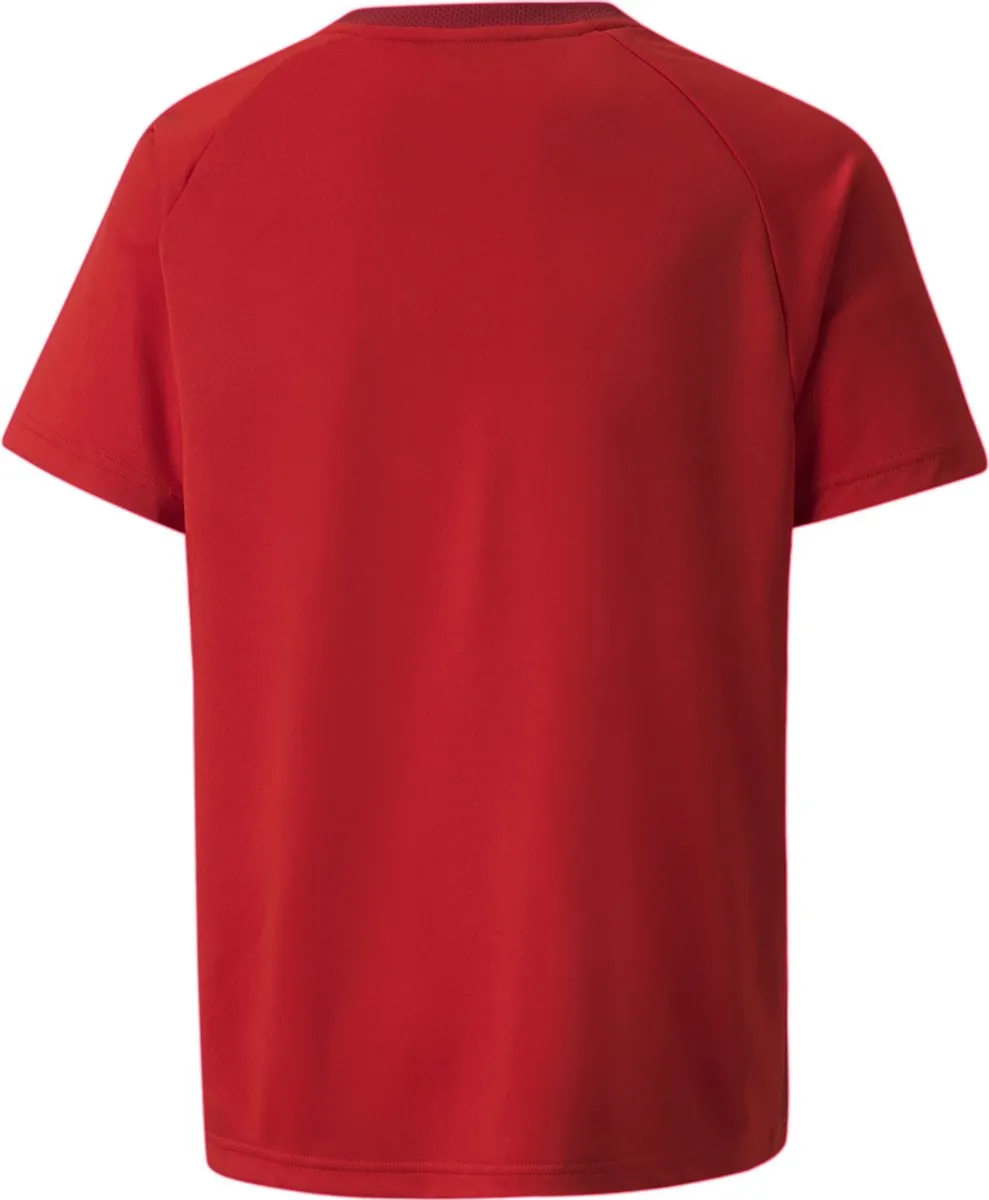PUMA Teamvision Shirt Korte Mouw Kinderen 176 - Rood