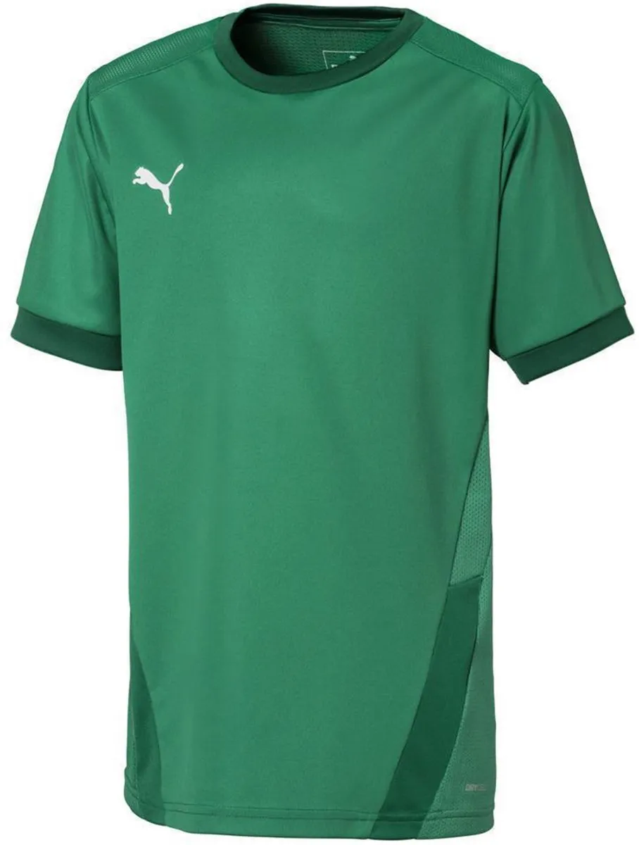 PUMA T-shirt Kinderen TeamGOAL 23 Jersey 116cm