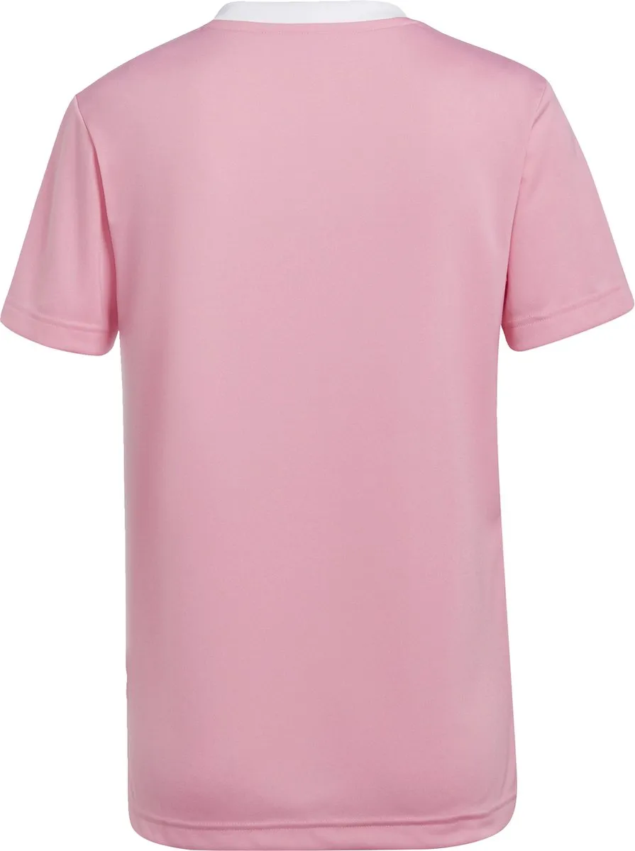 Adidas Performance Entrada 22 Voetbalshirt HC5075 - Roze - 2XS