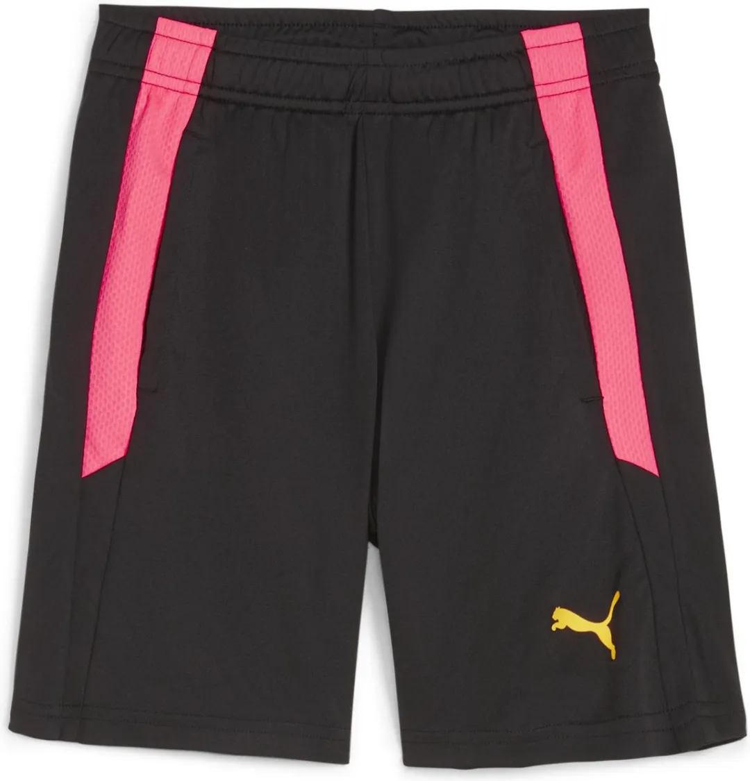 PUMA teamLIGA Training Shorts 116