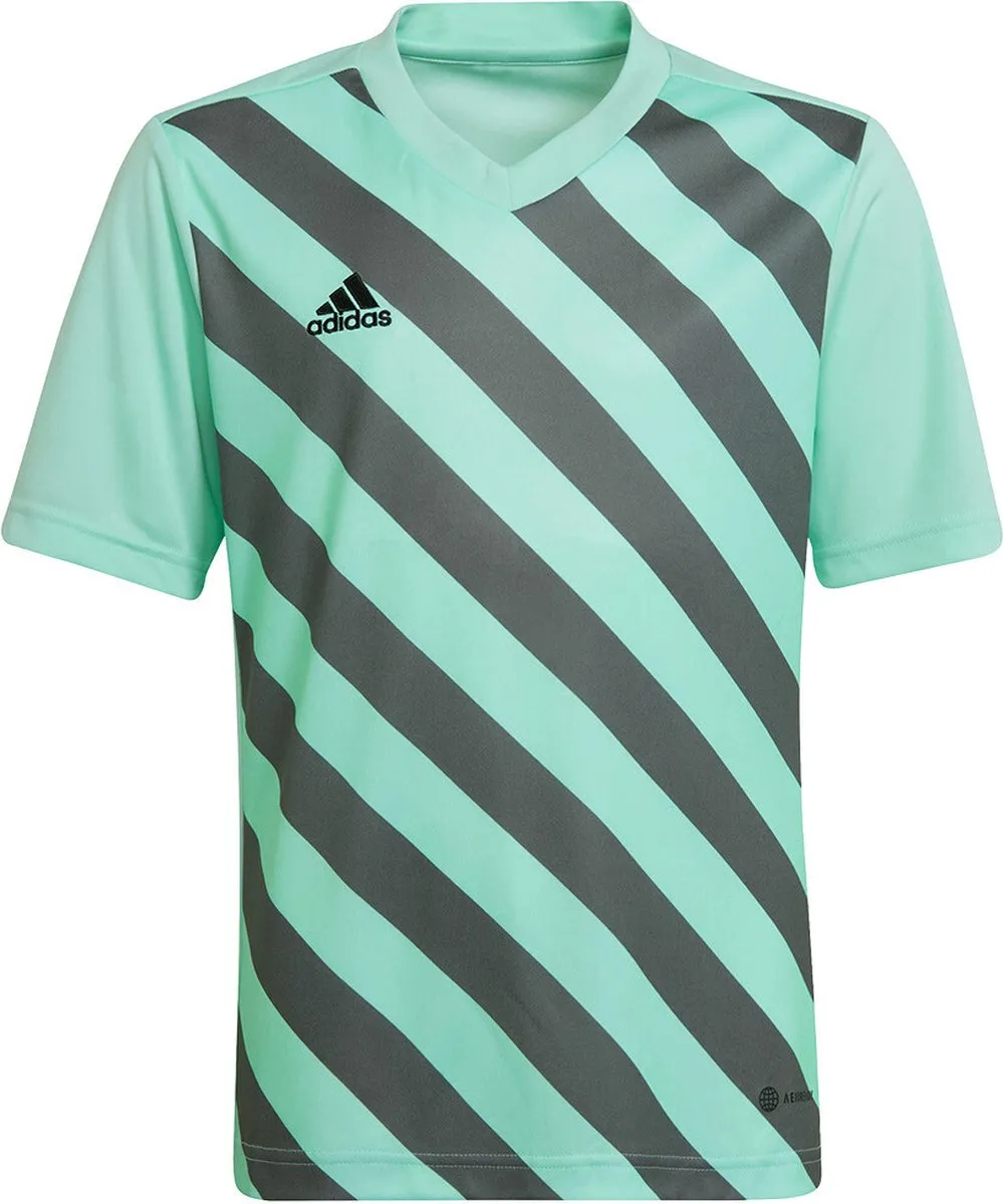 adidas Entrada 22 GFX Jersey