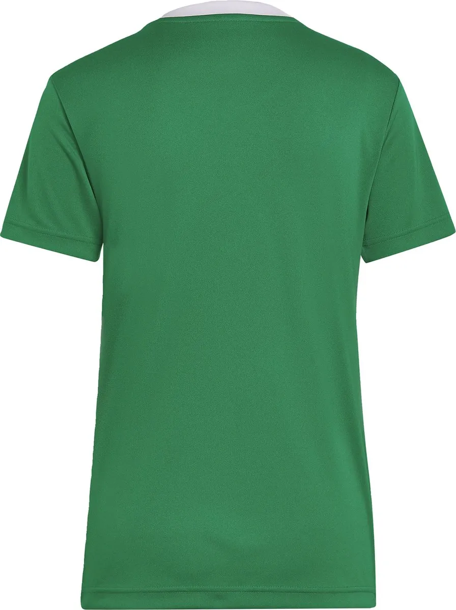adidas Performance Entrada 22 Voetbalshirt HI2124 - XS - Groen