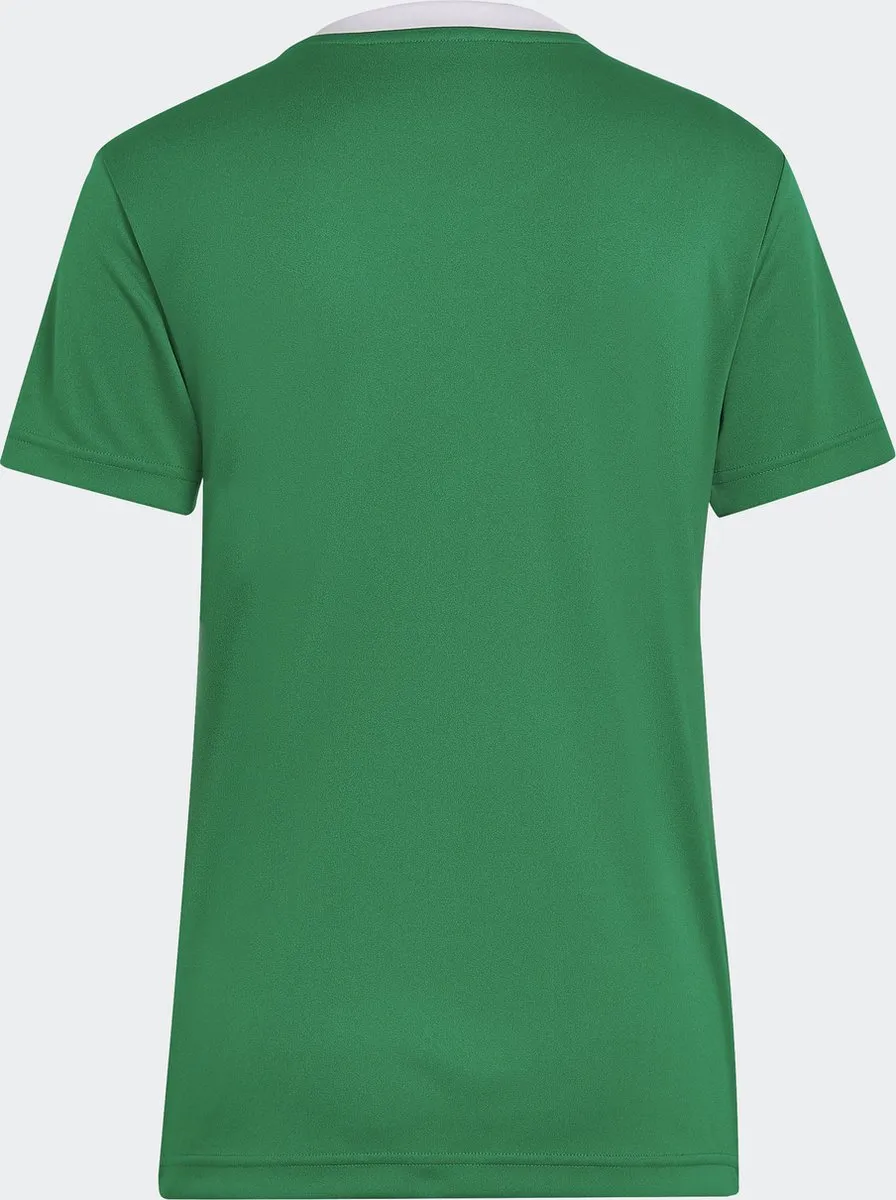 adidas Performance Entrada 22 Voetbalshirt HI2124 - XS - Groen
