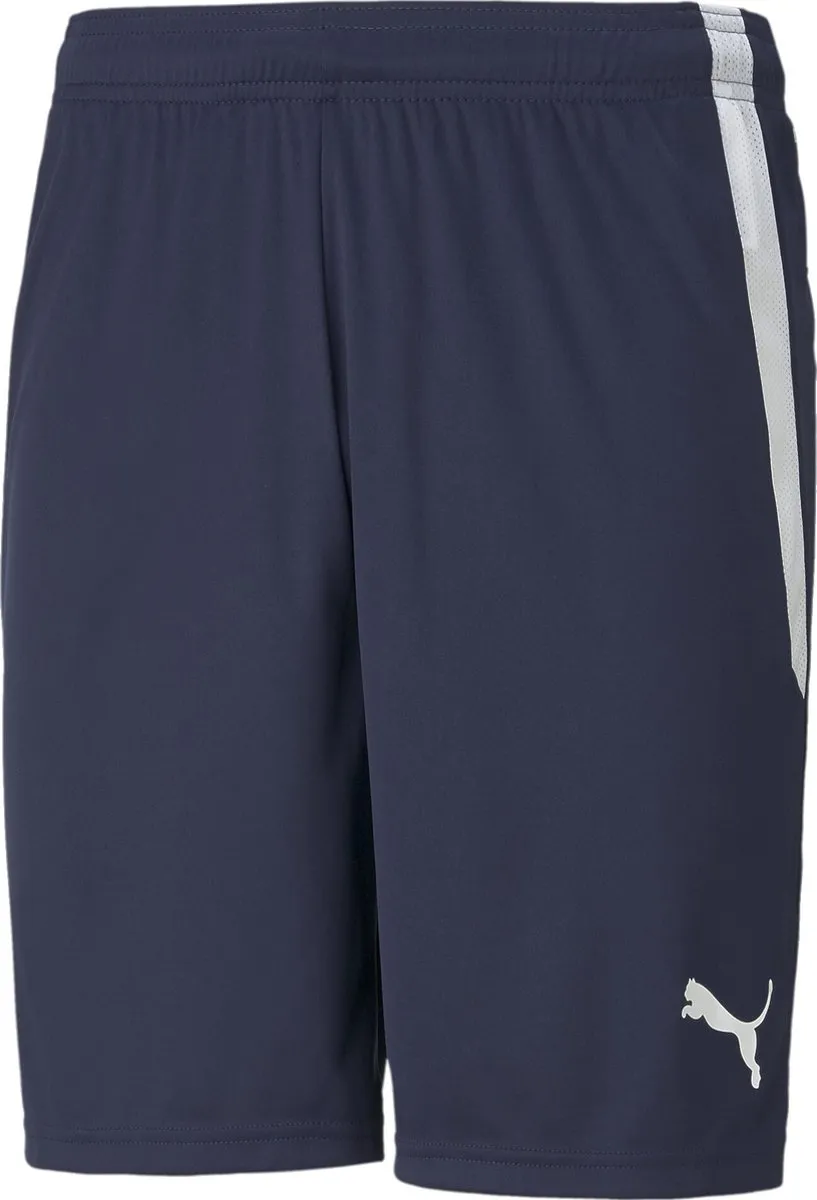 PUMA TeamLIGA Shorts Heren