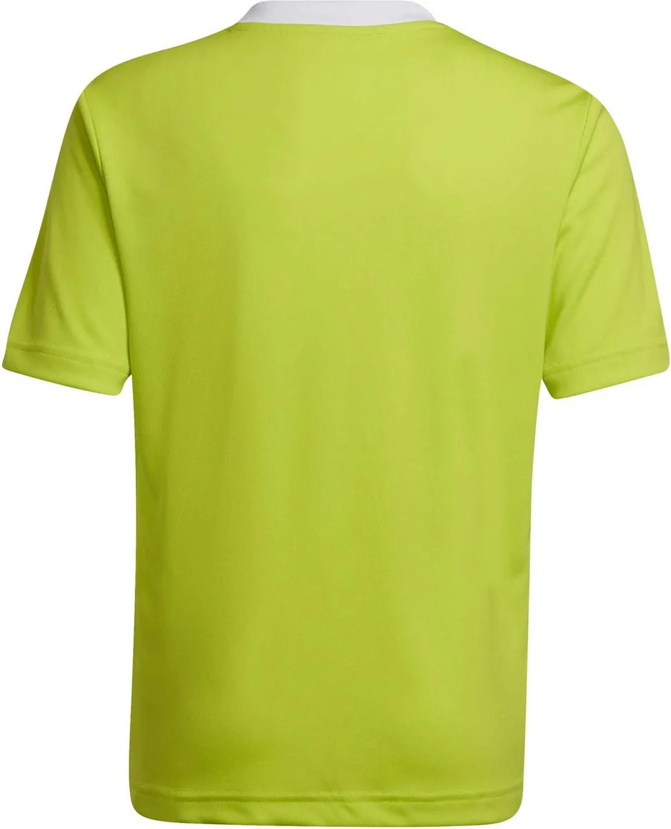 adidas Entrada 22 Jersey Youth Voetbalshirt 152 - Groen