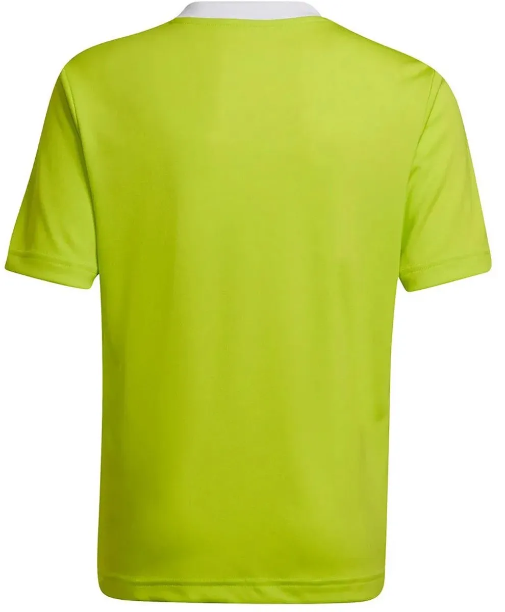 adidas Entrada 22 Jersey Youth Voetbalshirt 152 - Groen - afbeelding 6 van 6