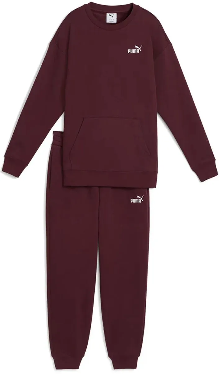PUMA Trainingspak 688160 - Paars S