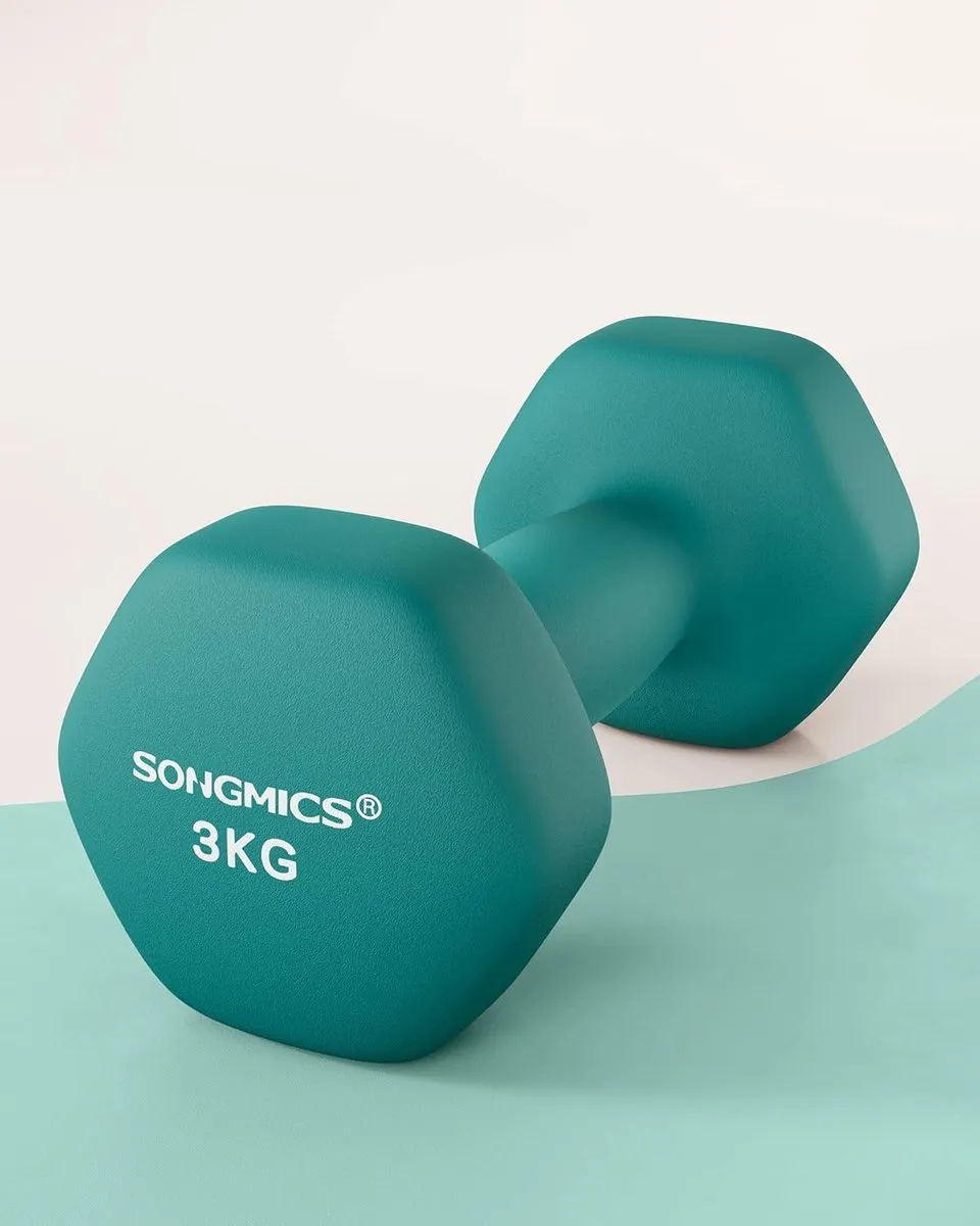 Songmics Zeshoekige Halters 2x6kg - Turquoise