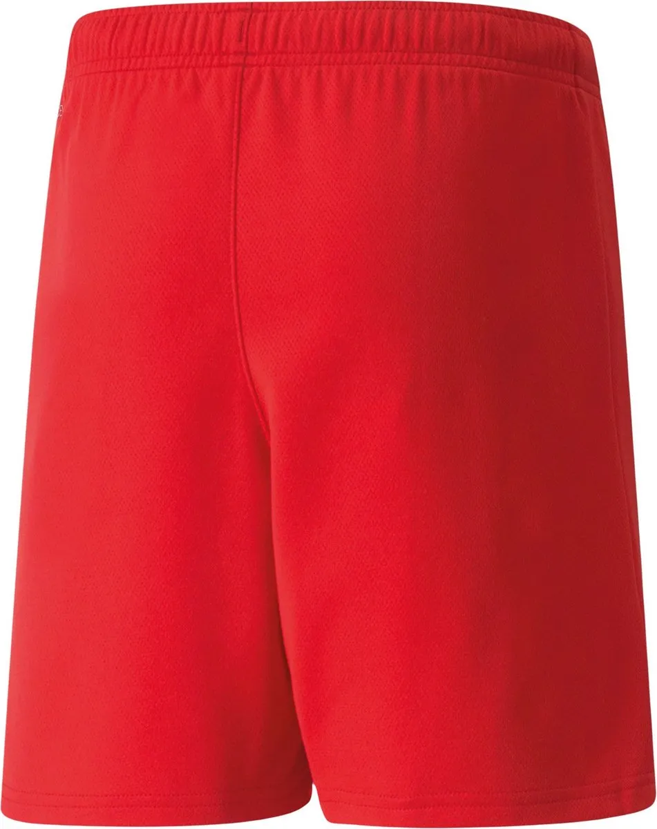 PUMA TeamRISE Short Junior 704943-01 - Maat 152 - Rood