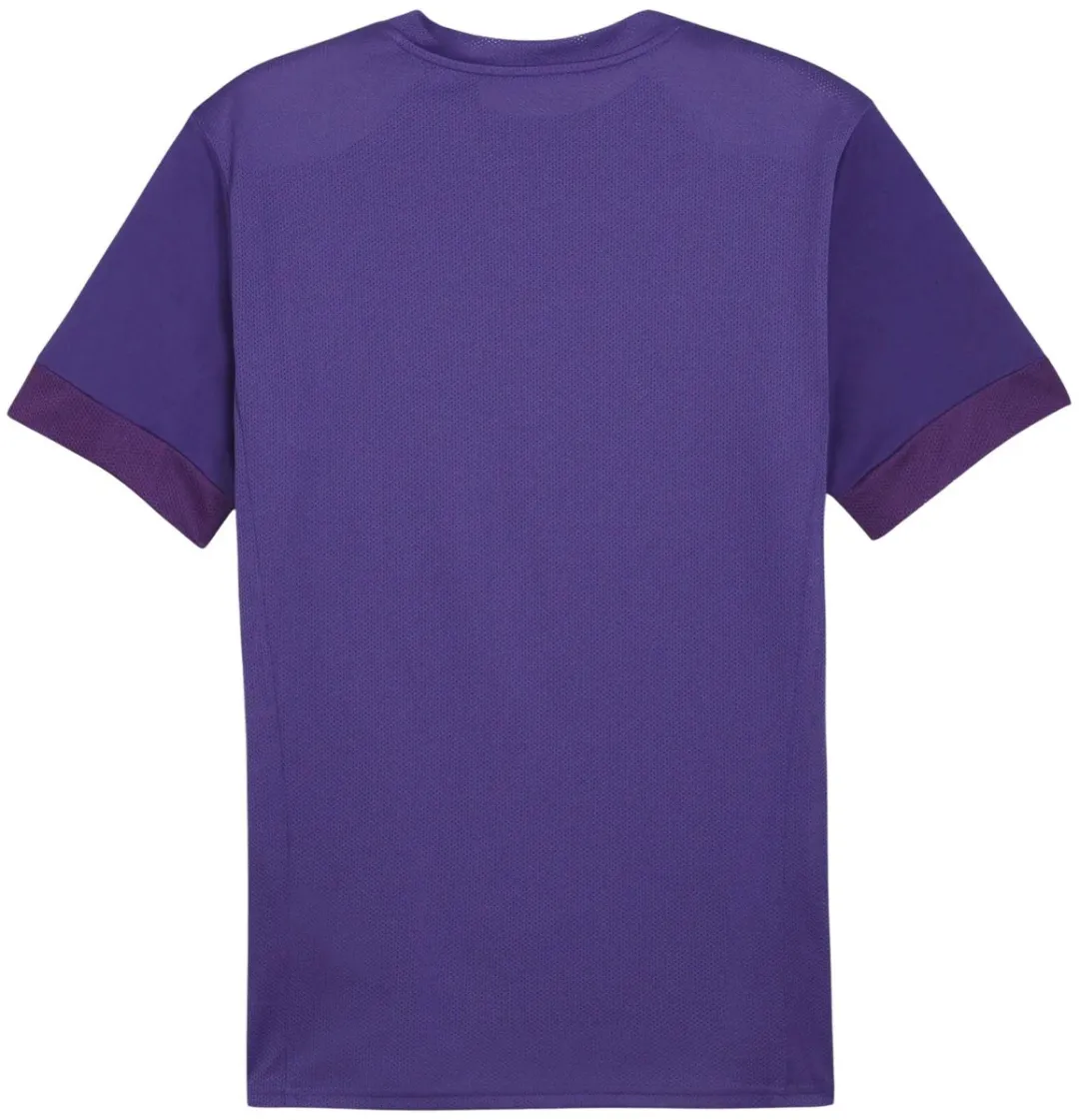 PUMA TeamGOAL Matchday Shirt Heren - Maat M - Paars
