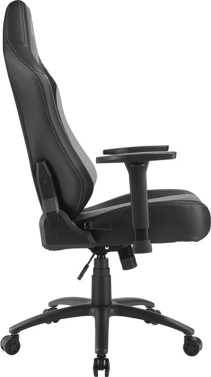 Sharkoon SGS20 Gaming Stoel - Zwart/Grijs