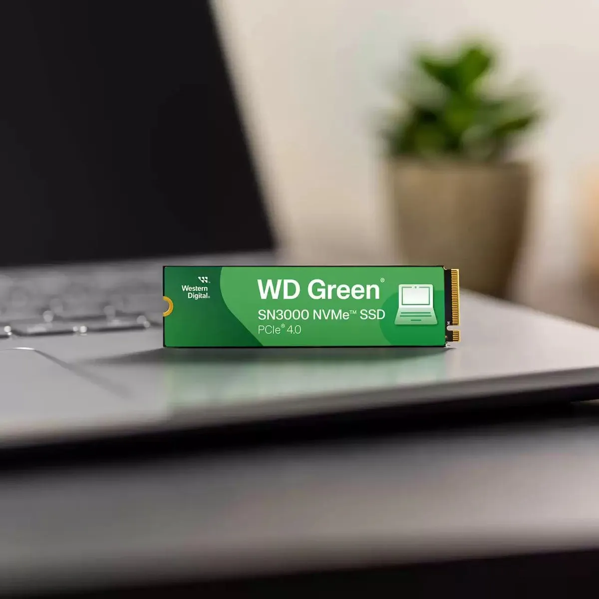 Western Digital SN3000 WDS200T4G1E-00CPS0 M.2 SSD - 2TB