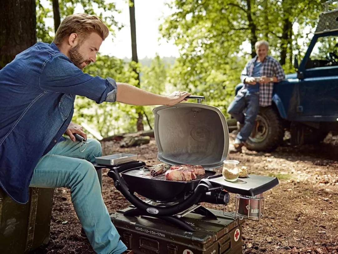 Weber Q2000 Titanium Gasbarbecue - 8500 BTU