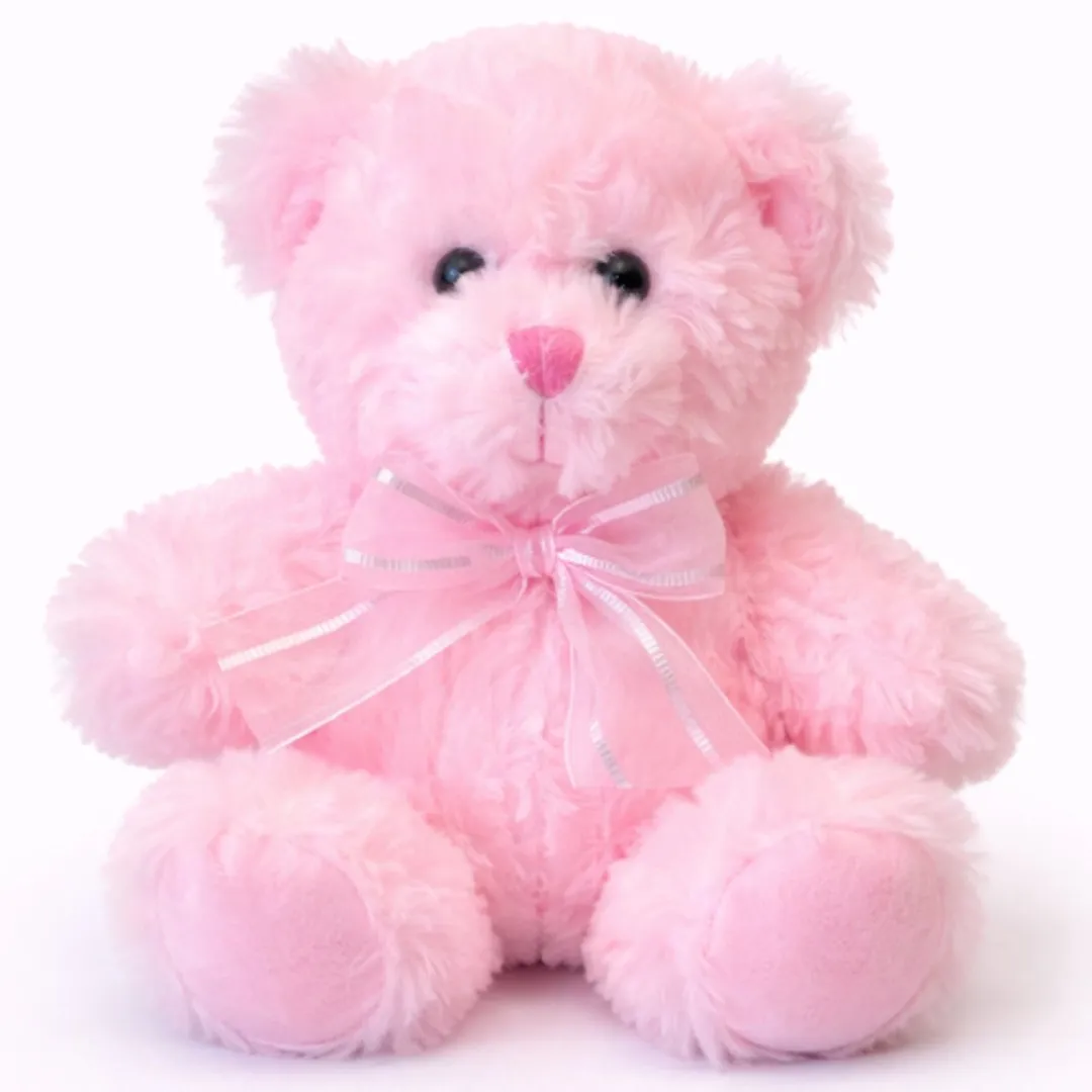 Topknuffels Teddybeer Pluche Knuffel Roze 20cm