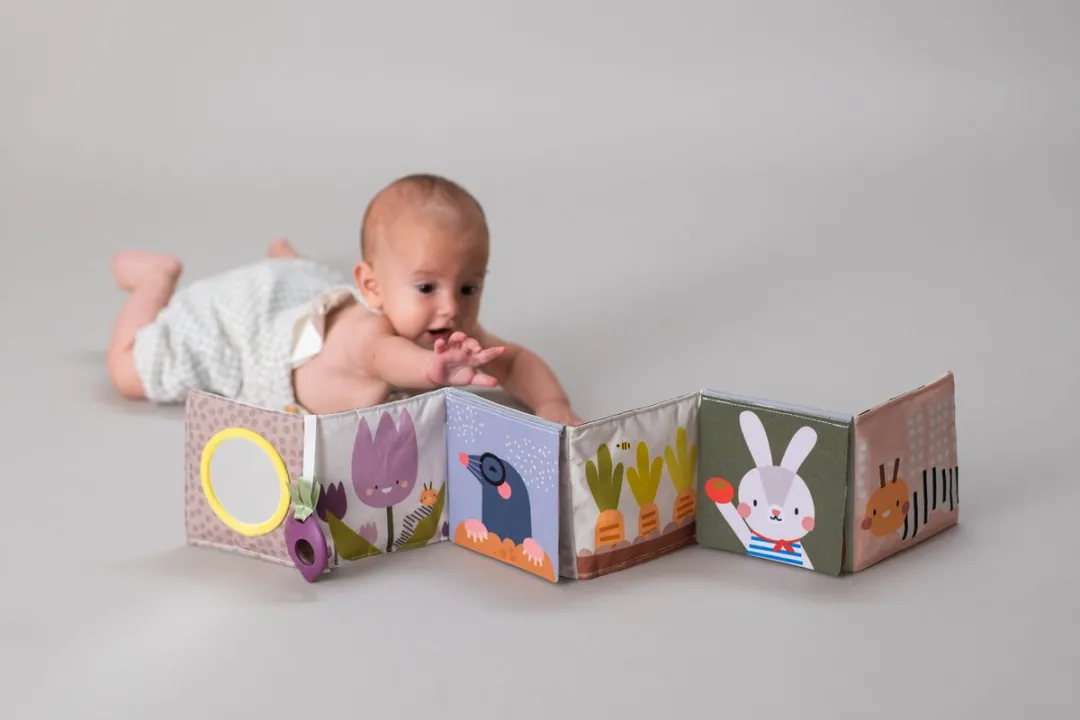 Taf Toys Urban Garden Pram Book - Zwart