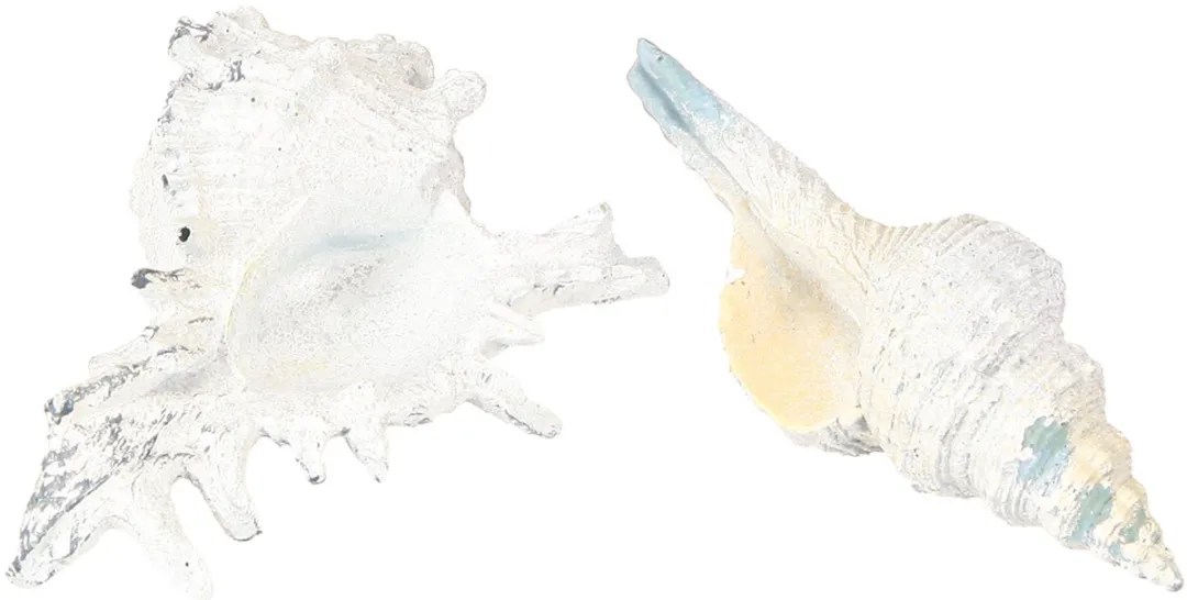 Kaemingk Schelp Decoratie Blauw-Wit 11.5/13cm - 2 Stuks