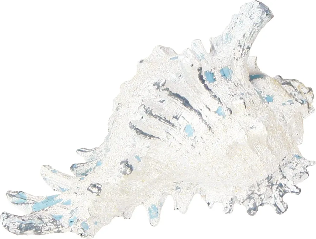 Kaemingk Schelp Decoratie Blauw-Wit 11.5/13cm
