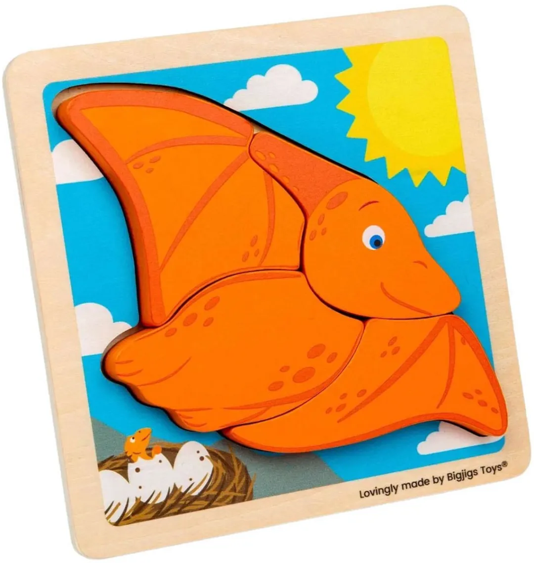 BIGJIGS Houten Pterodactyl Vormenpuzzel - 4 Stuks
