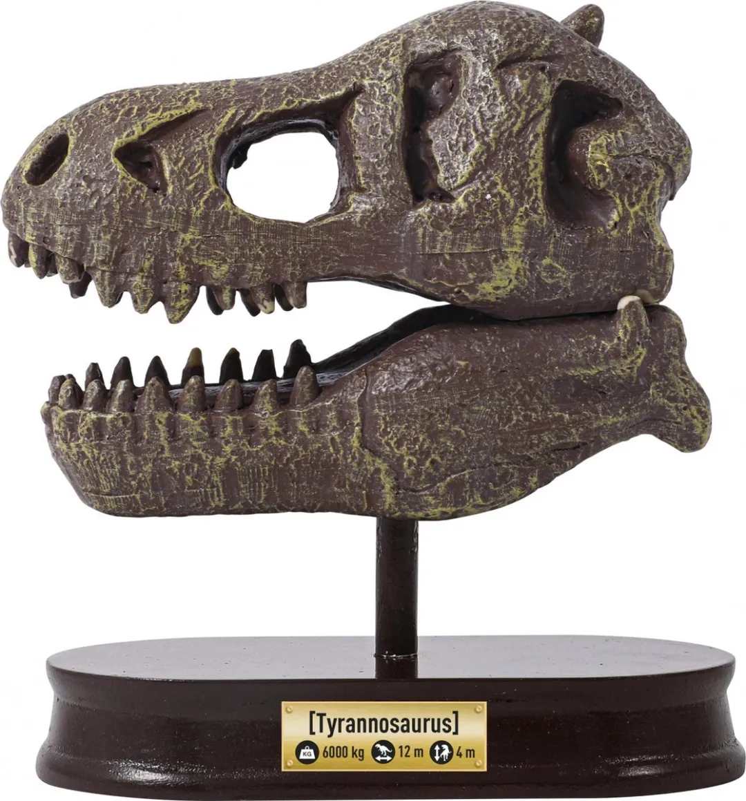 Buki France Dino Schedel Uitgraafset T-REX - Meerkleurig