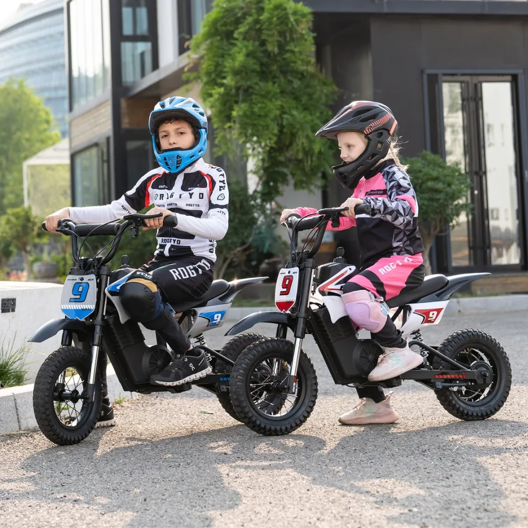 RCB R9XPRO Elektrische Crossmotor 36V - 350W - 3 Versnellingen - Blauw