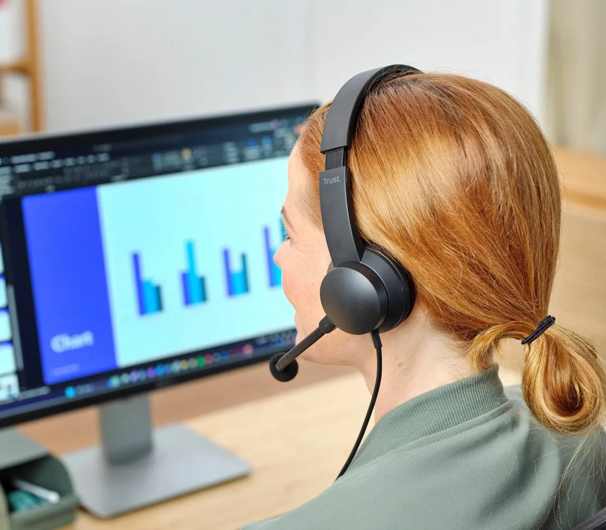Trust HS-260 Over-Ear Headset - Zwart