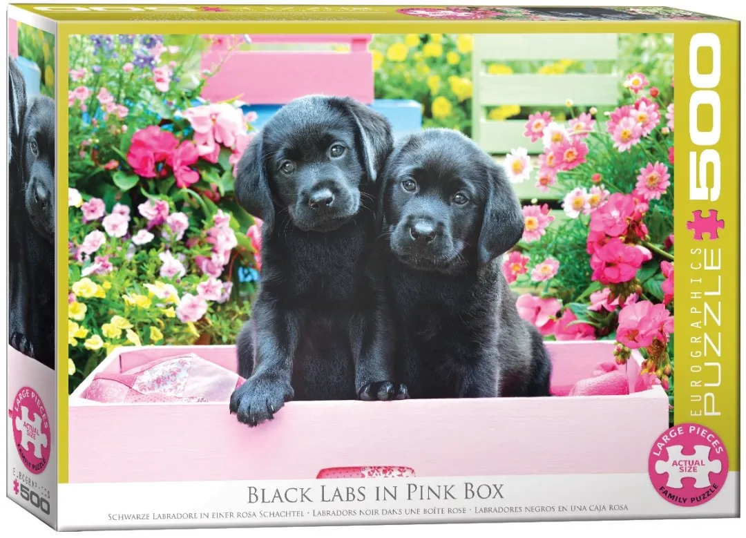 Eurographics Zwarte Labradors met Roze Strik Puzzel 500 Stuks