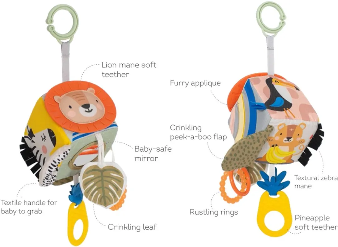 Taf Toys Savannah Activiteitenkubus