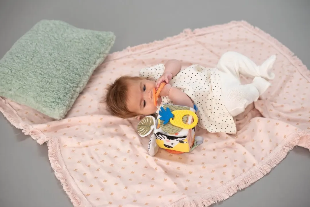 Taf Toys Savannah Activiteitenkubus