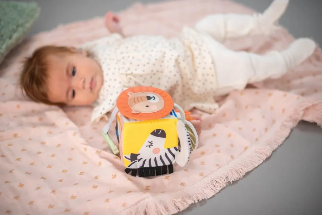 Taf Toys Savannah Activiteitenkubus