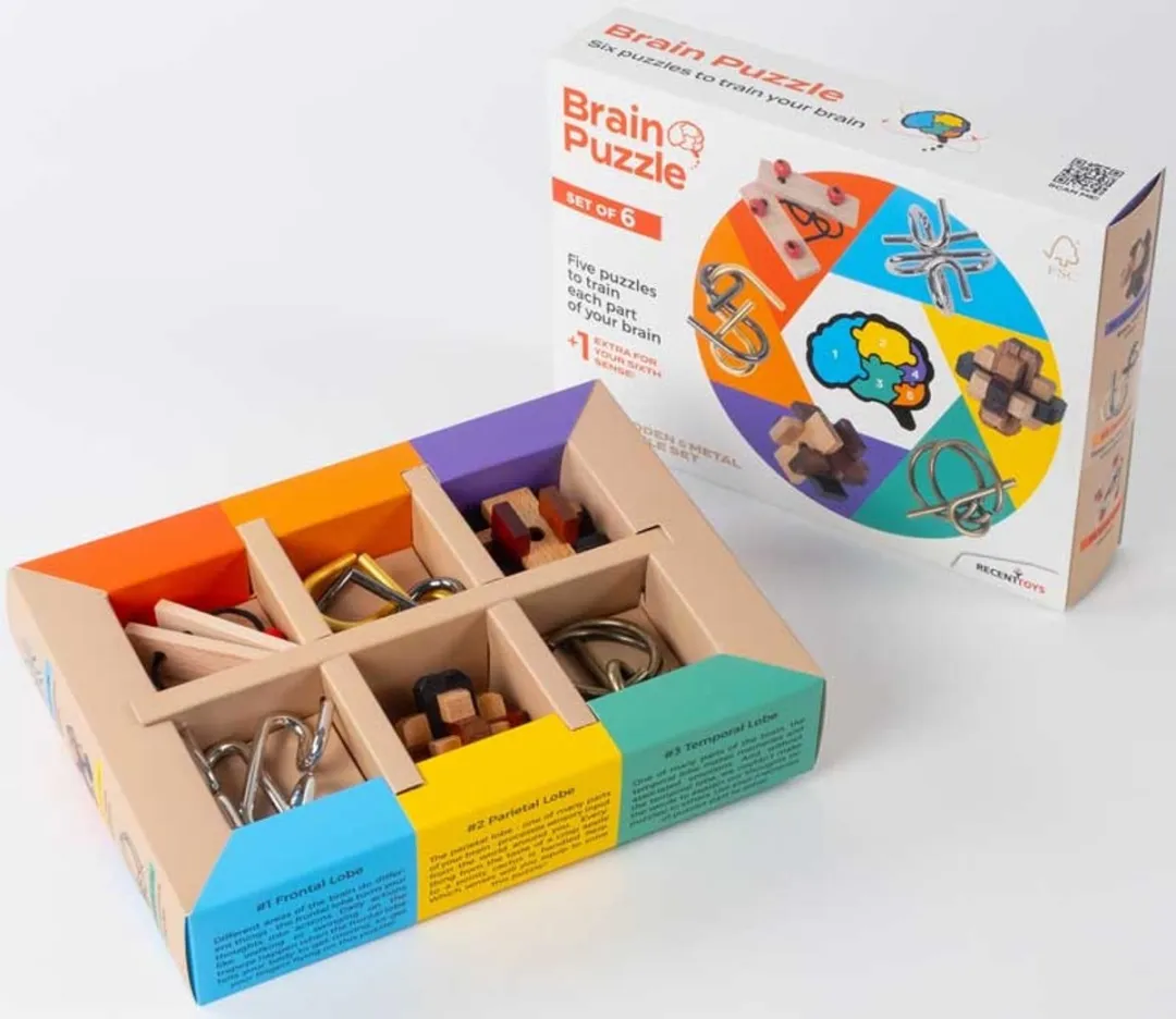 Recent Toys Brainpuzzel Set 6 Stuks - Multicolor