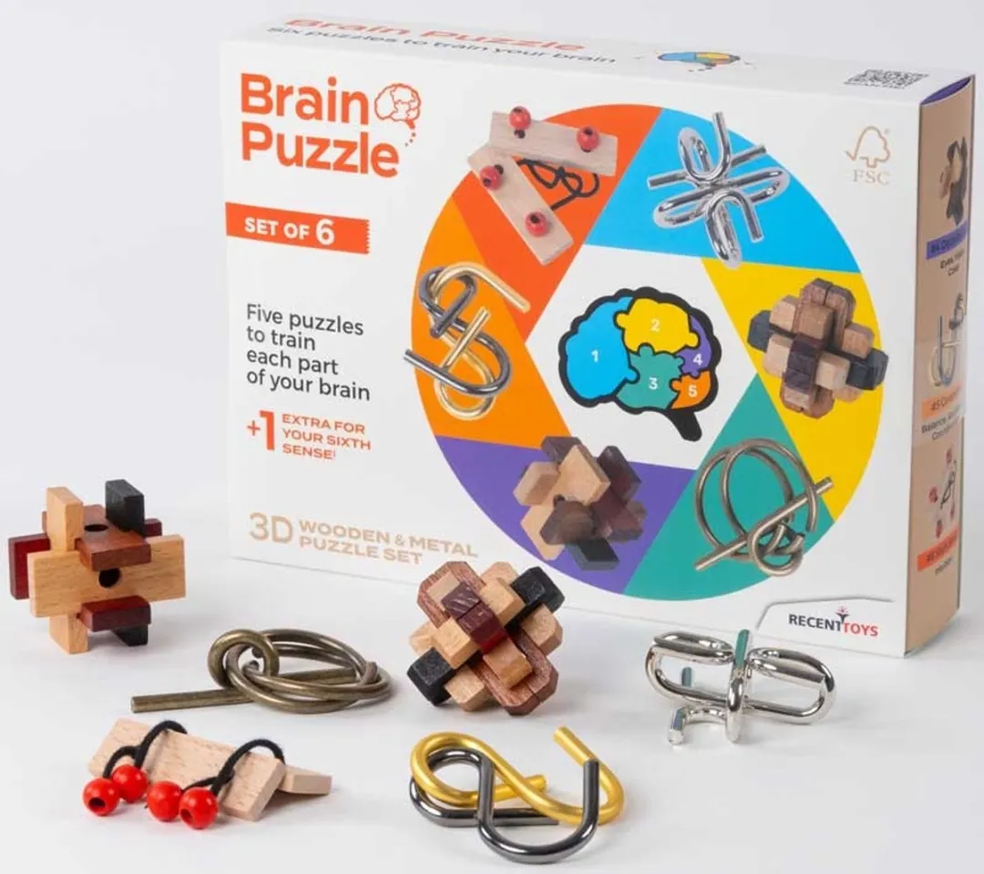 Recent Toys Brainpuzzel Set 6 Stuks - Multicolor