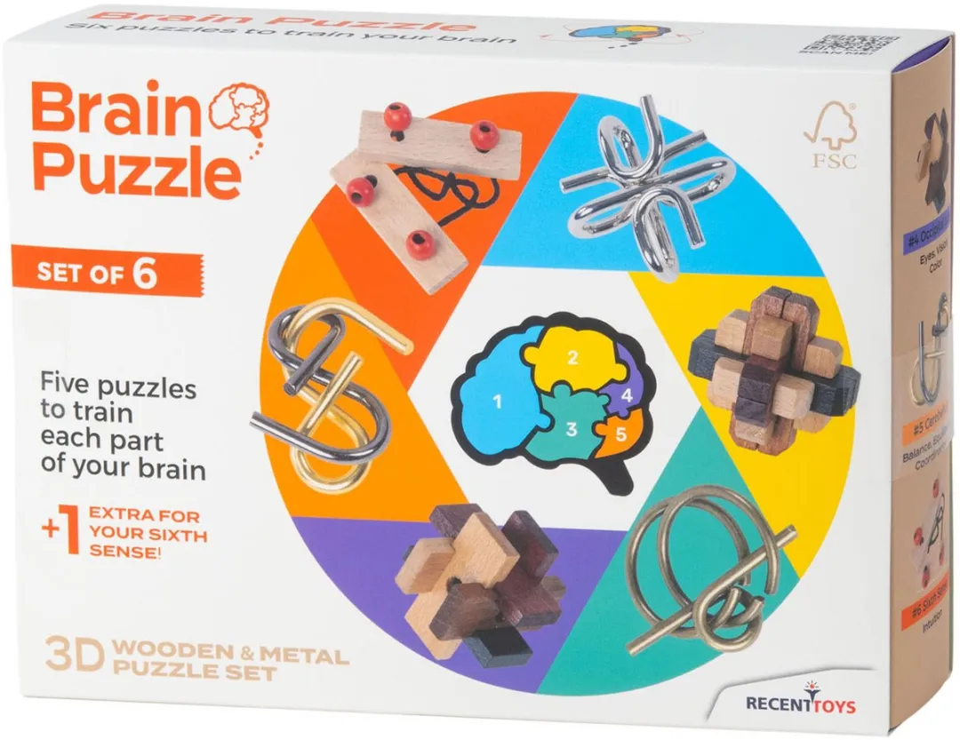 Recent Toys Brainpuzzel Set 6 Stuks