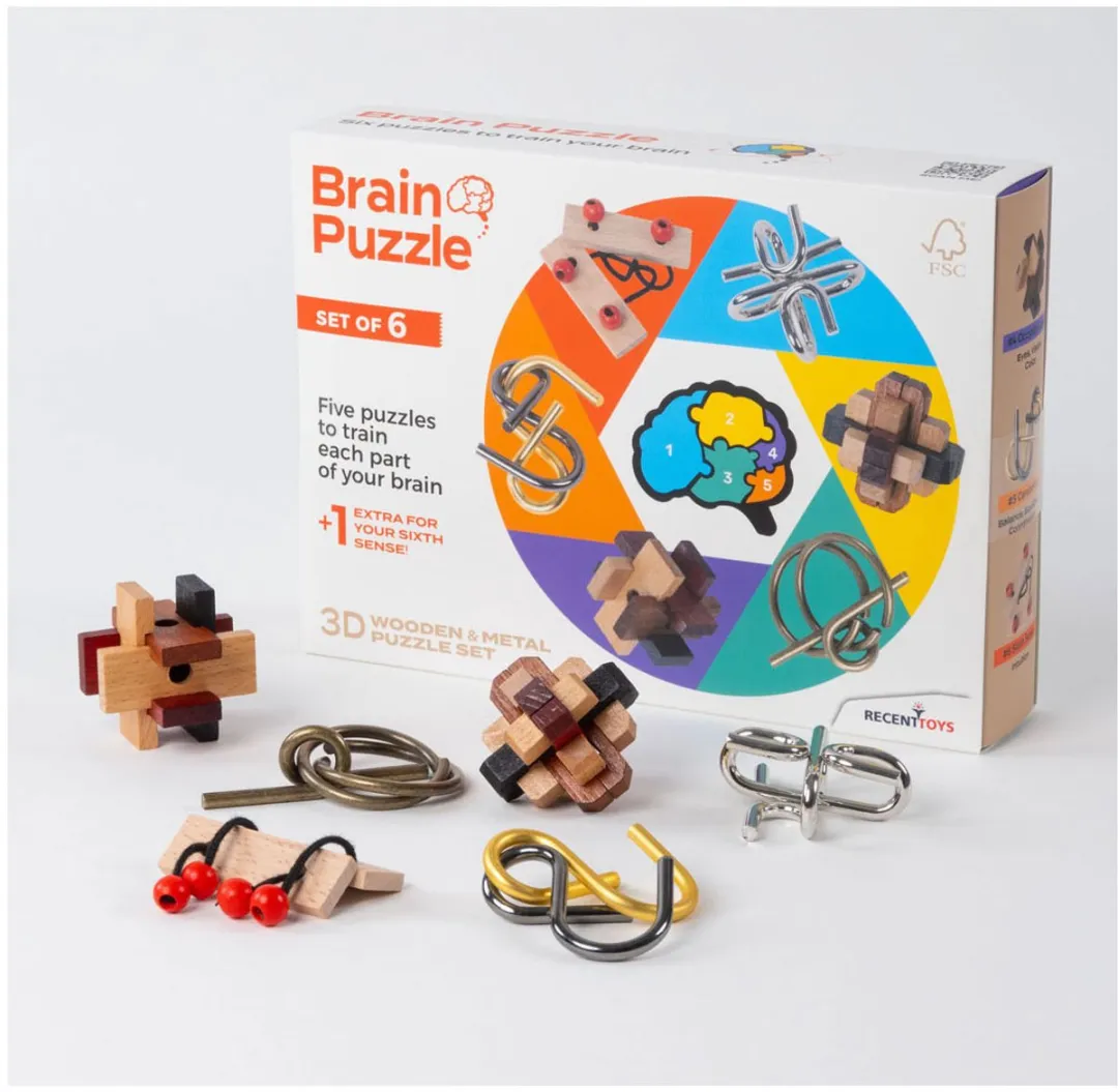 Recent Toys Brainpuzzel Set 6 Stuks - Multicolor
