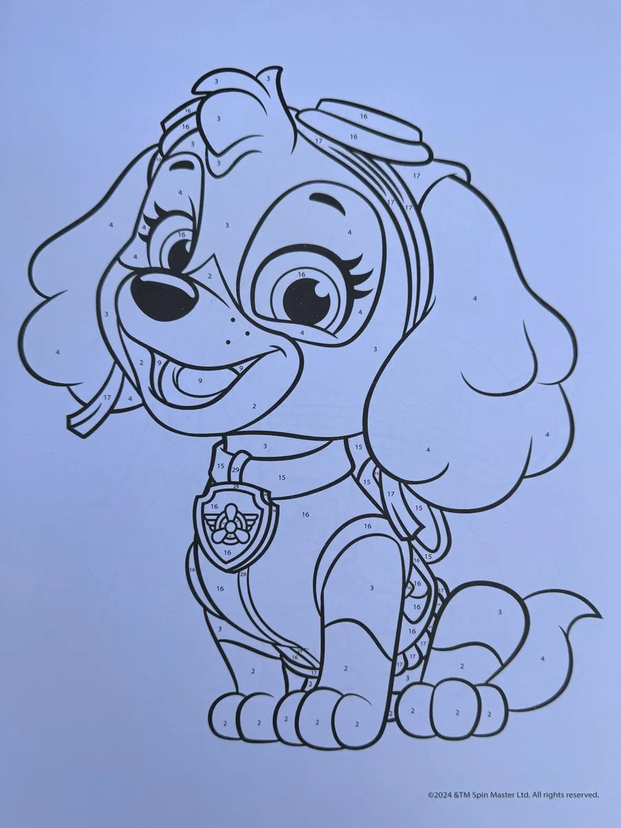 Nickelodeon Paw Patrol Kleuren op Nummer - 34 Pagina's - 45 Stickers - Groen