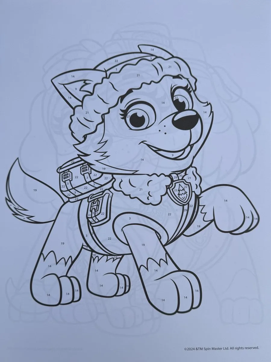 Nickelodeon Paw Patrol Kleuren op Nummer - 34 Pagina's - 45 Stickers - Groen
