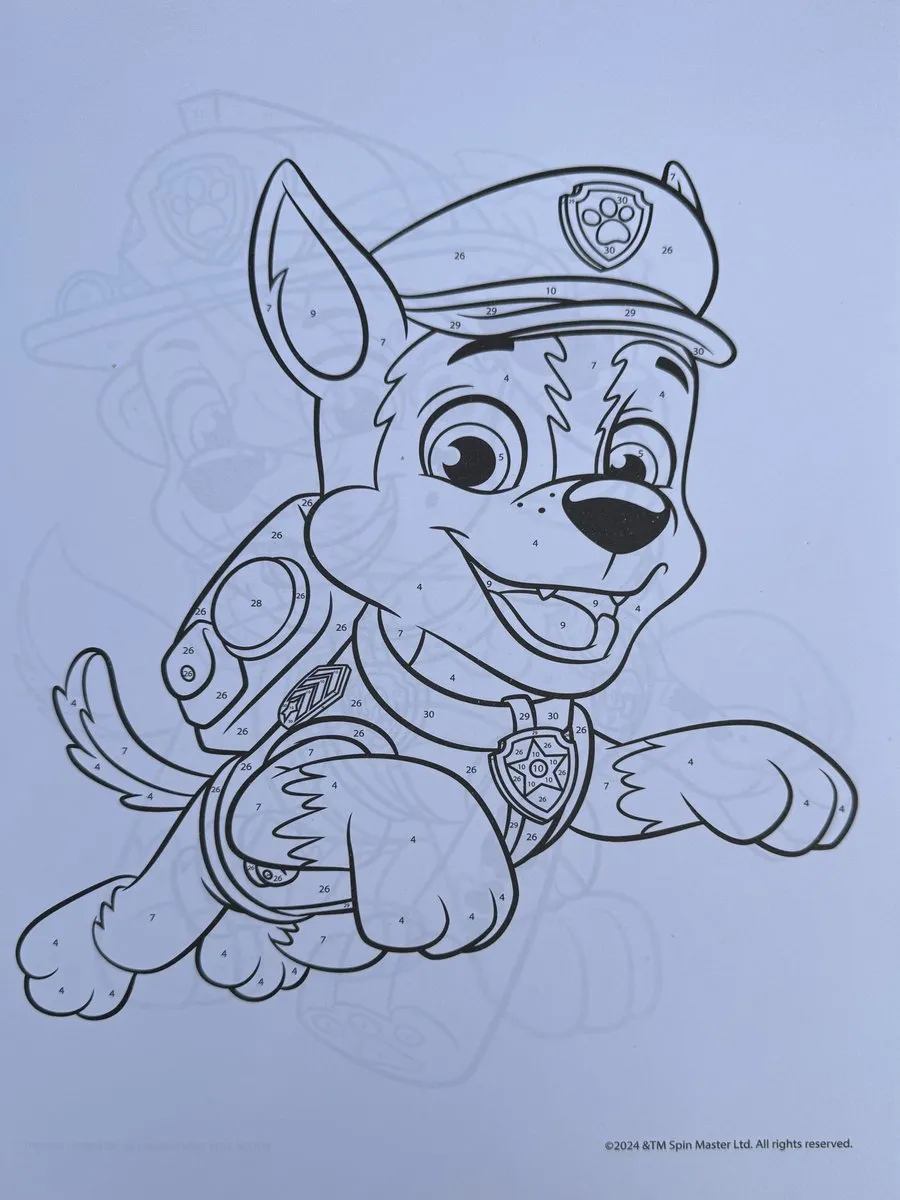 Nickelodeon Paw Patrol Kleuren op Nummer - 34 Pagina's - 45 Stickers - Groen