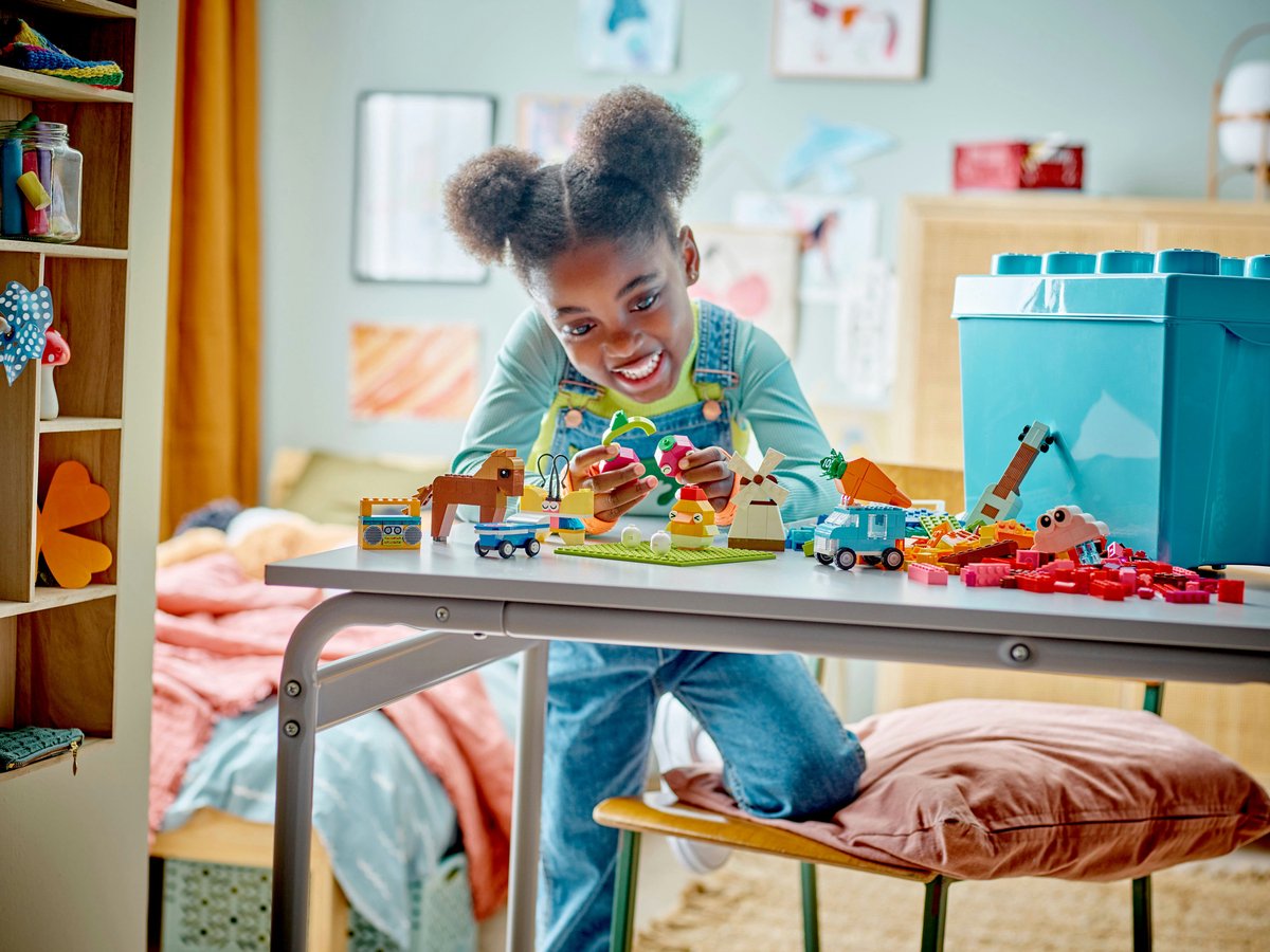 LEGO Classic Kleurrijke creatieve opbergdoos - 11038