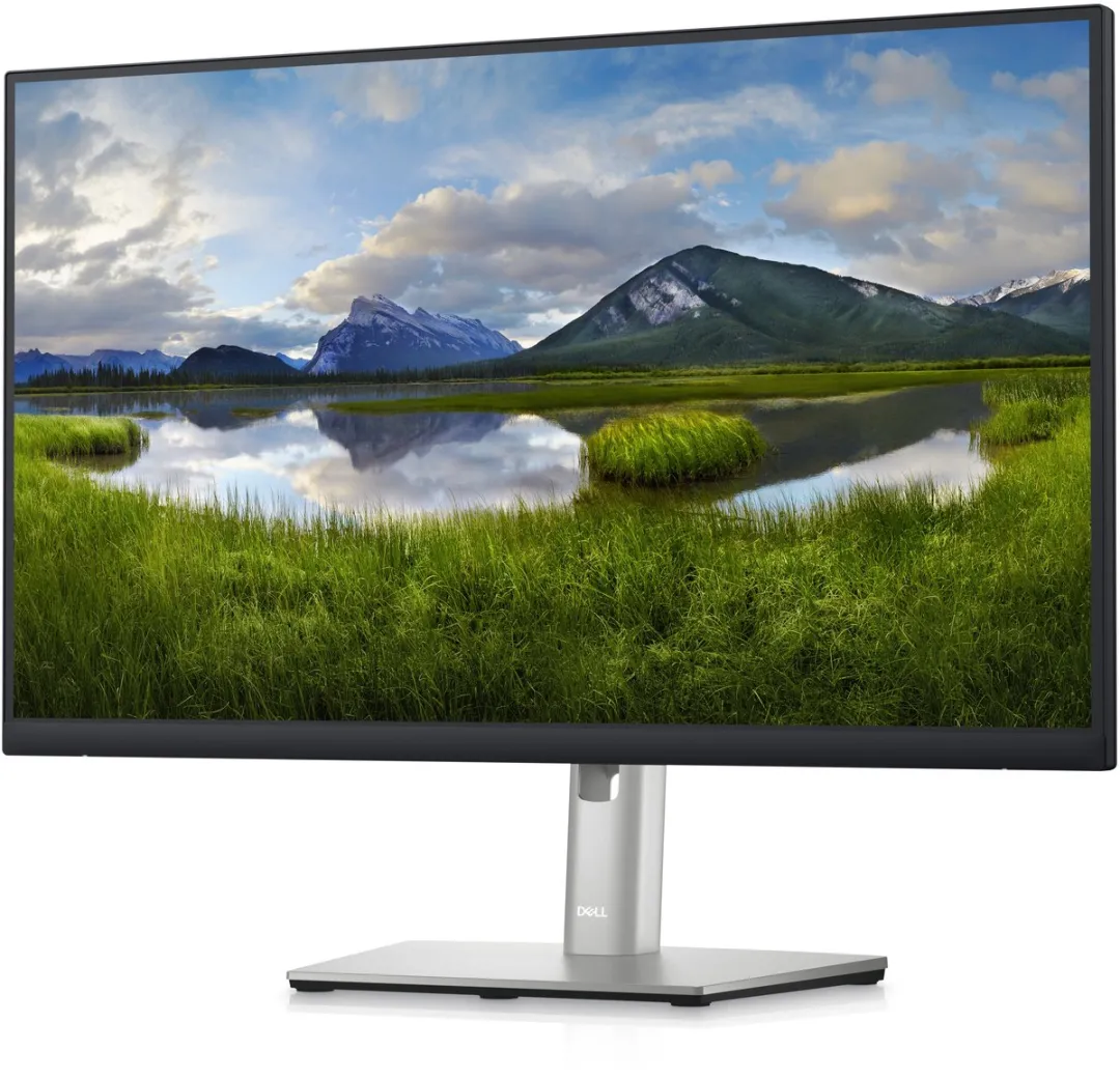 Dell P2423D Professional Monitor 23.8" QHD IPS - 5ms - USB-A/HDMI/DisplayPort - afbeelding 6 van 6