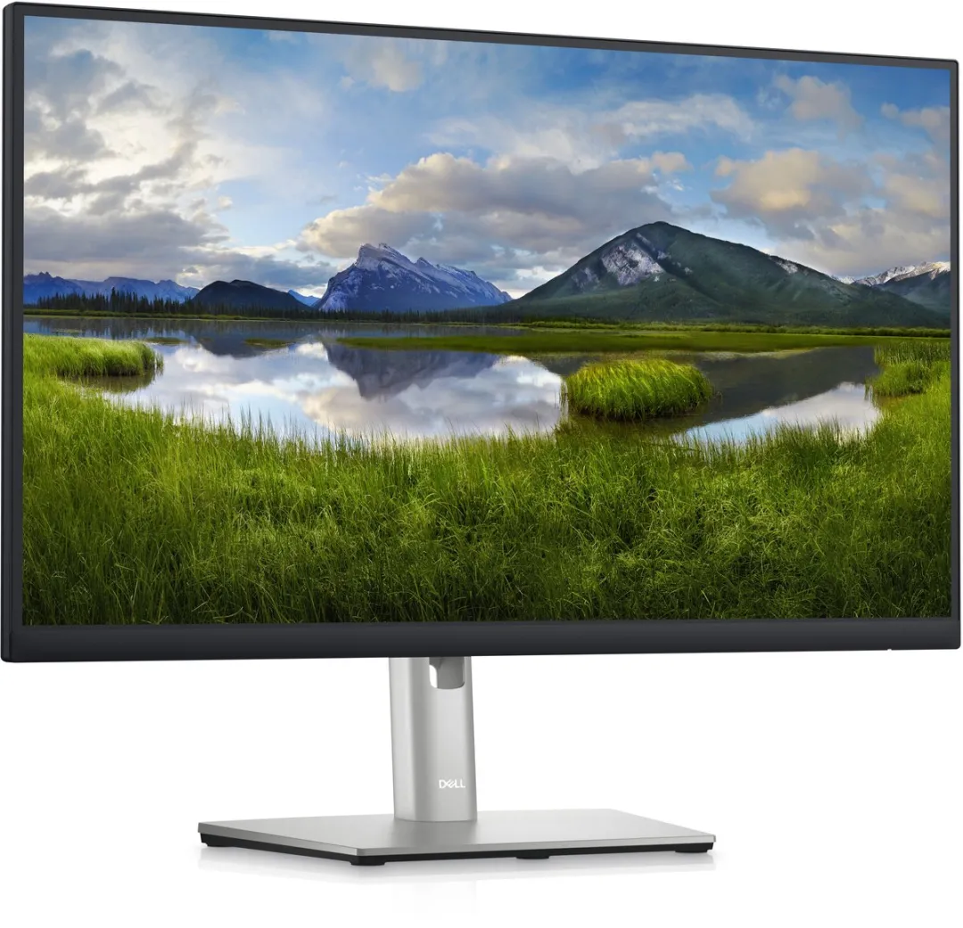 Dell P2423D Professional Monitor 23.8" QHD IPS - 5ms - USB-A/HDMI/DisplayPort