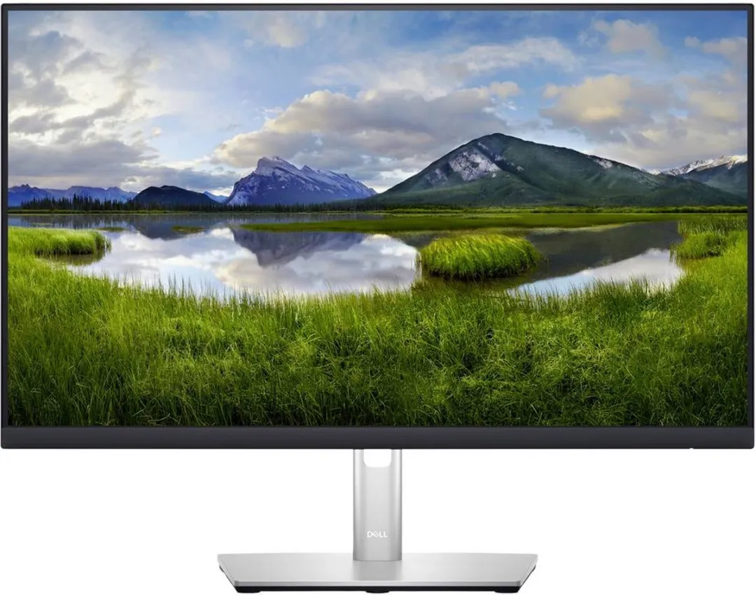 Dell P2423D Professional Monitor 23.8" QHD IPS - 5ms - USB-A/HDMI/DisplayPort
