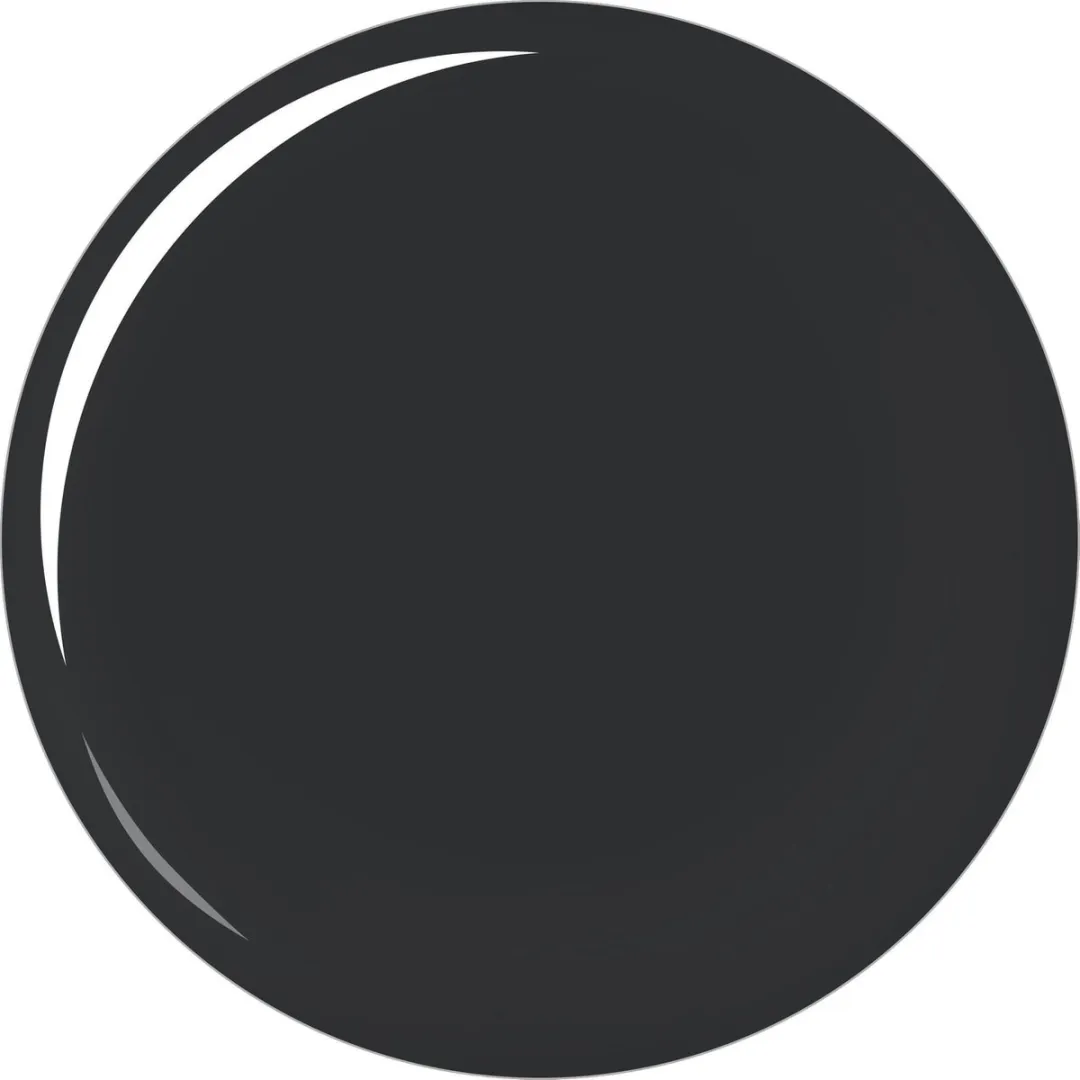 L'Oréal Paris Color Riche Le Vernis Nagellak 895 Black