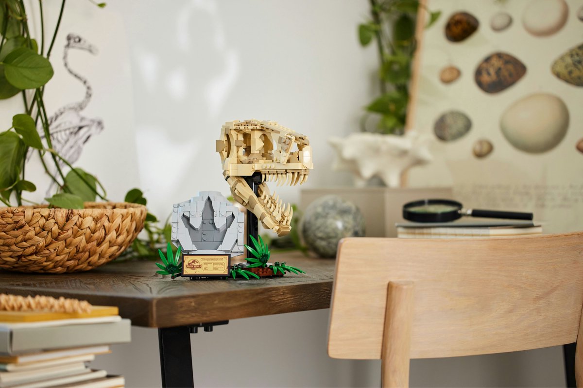LEGO Jurassic World Dinosaurusfossielen: T. rex Schedel speelgoed voor kinderen - 76964