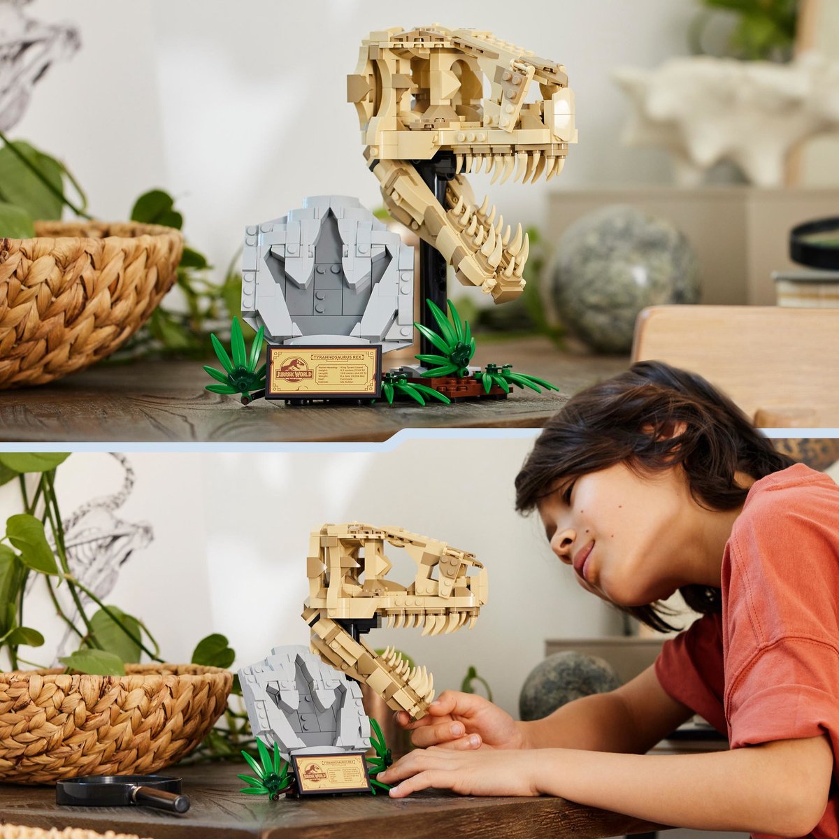 LEGO Jurassic World Dinosaurusfossielen: T. rex Schedel speelgoed voor kinderen - 76964